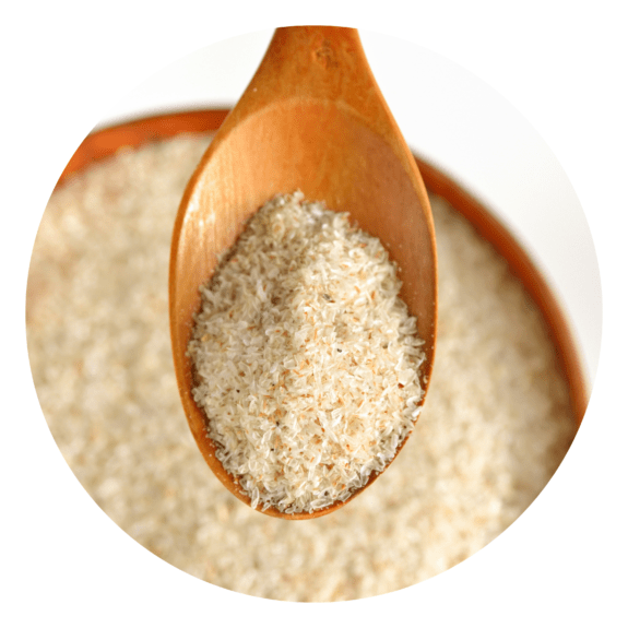 Psyllium